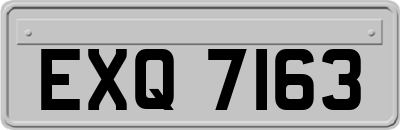 EXQ7163