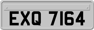 EXQ7164