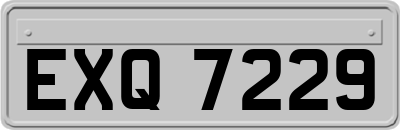 EXQ7229
