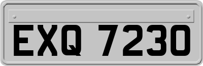 EXQ7230