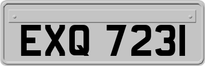 EXQ7231