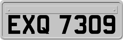 EXQ7309