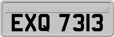 EXQ7313