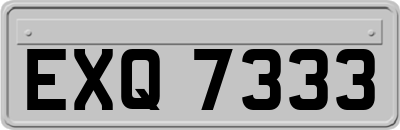 EXQ7333