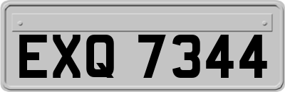EXQ7344