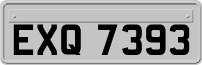 EXQ7393