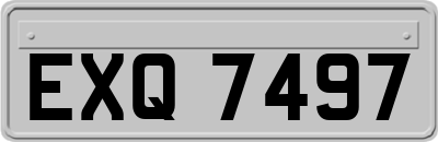 EXQ7497