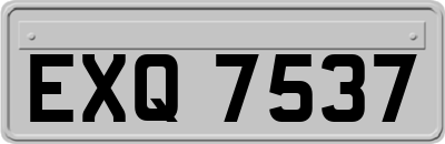 EXQ7537