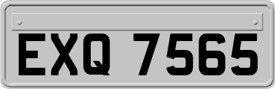 EXQ7565
