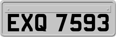 EXQ7593