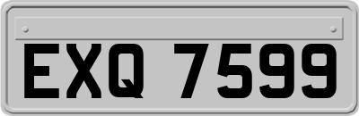 EXQ7599