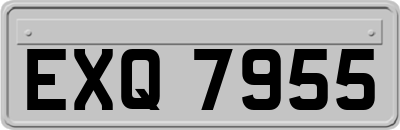 EXQ7955