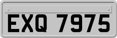 EXQ7975