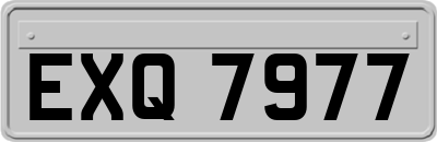 EXQ7977