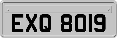 EXQ8019