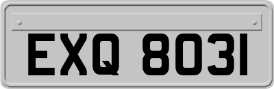 EXQ8031
