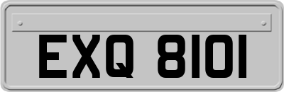 EXQ8101