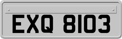EXQ8103