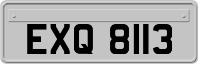 EXQ8113