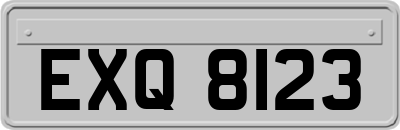 EXQ8123