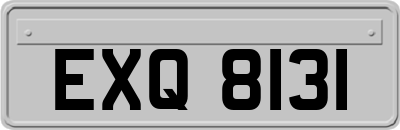 EXQ8131
