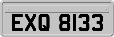 EXQ8133