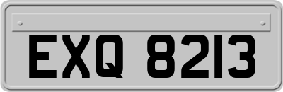 EXQ8213