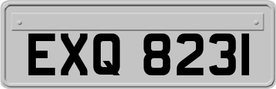 EXQ8231