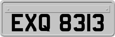 EXQ8313