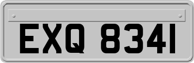 EXQ8341