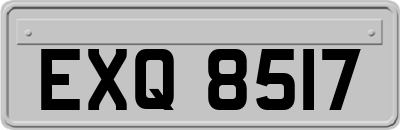 EXQ8517