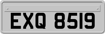 EXQ8519