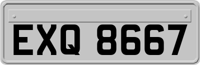 EXQ8667