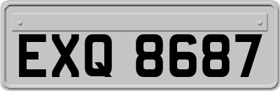 EXQ8687