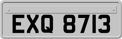 EXQ8713