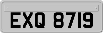 EXQ8719