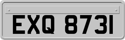 EXQ8731
