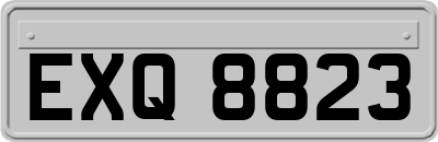 EXQ8823