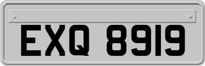EXQ8919