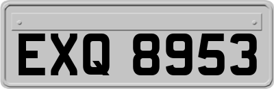 EXQ8953