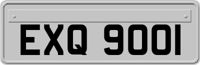 EXQ9001