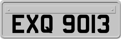 EXQ9013