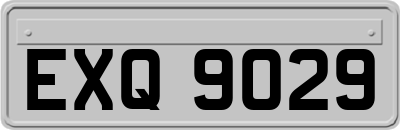 EXQ9029