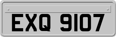 EXQ9107