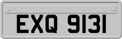 EXQ9131