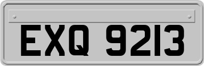 EXQ9213