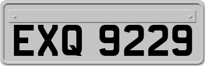 EXQ9229