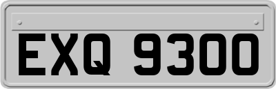 EXQ9300