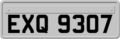 EXQ9307