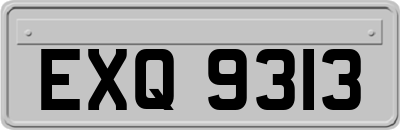 EXQ9313